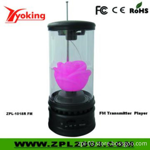 FM Radio Receiver Speaker with USB Input (ZPL-1018R FM)